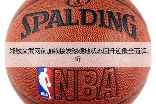 郑钦文武网前加练接发球硬地状态回升迹象全面解析